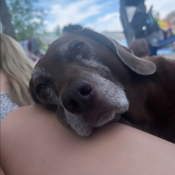 Meet your Posher, Racheal - Picture 1 of 1